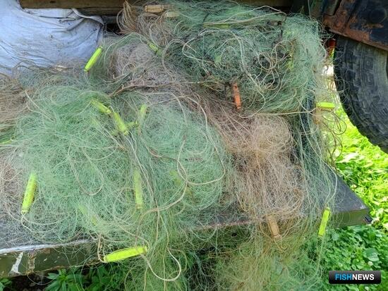 Нерестовый период в Приморье прибавил работы рыбоохране Нерестовый период в Приморье прибавил работы рыбоохране