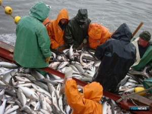 Камчатка готовится к важнейшей путине