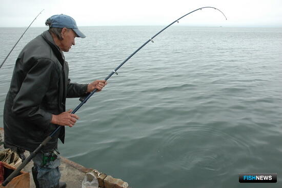 Сахалинские ученые отслеживают старт &laquo;красной&raquo; путины