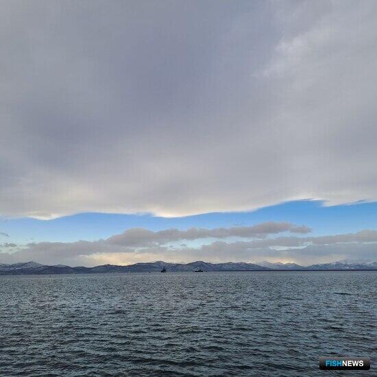 Рефрижераторный флот под инвестквоты получил особые требования к локализации Рефрижераторный флот под инвестквоты получил особые требования к локализации