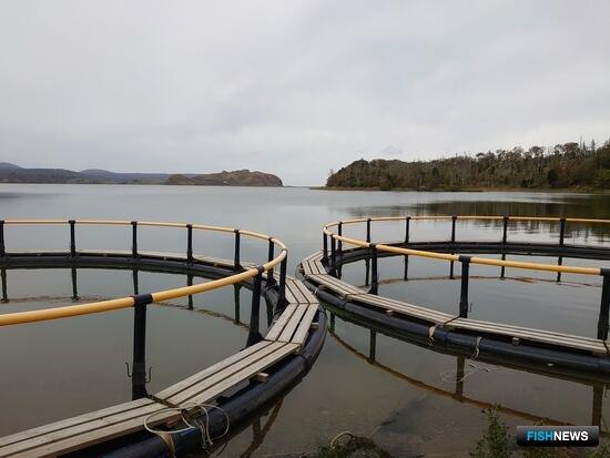 В Поморье подготовили две акватории под садки