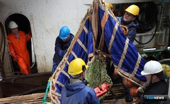 Кадровый вопрос &mdash; в приоритете для отрасли