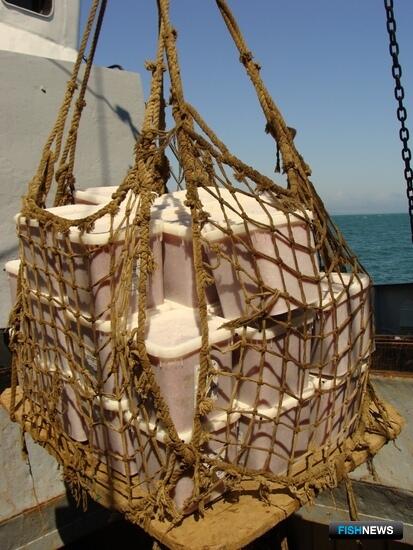 АРПП призвала регуляторов вернуться к вопросам маркировки икры