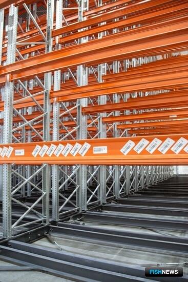 Чем рыбопромышленникам поможет WMS