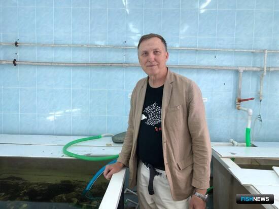 Наука рекомендует аквафермерам мохнаторукого краба Наука рекомендует аквафермерам мохнаторукого краба