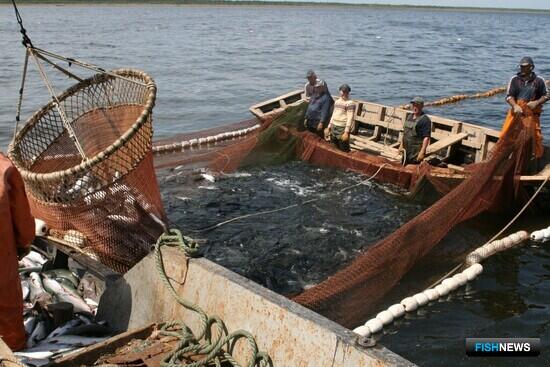 Производственным инспекторам прописали полномочия