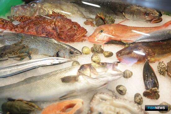 Что показывали российские компании на Seafood Expo Eurasia Что показывали российские компании на Seafood Expo Eurasia