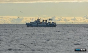 Рыбаки наловили уже 2 млн тонн