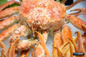 Мурманский краб освоил дорогу в Азию