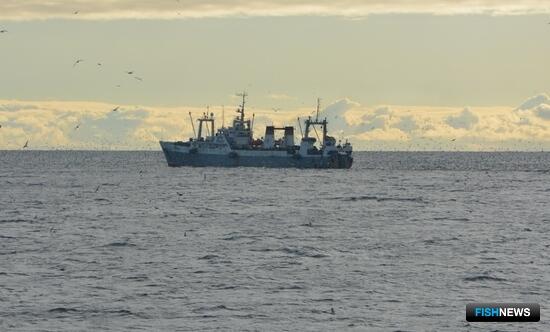 Рыбаки наловили уже 2 млн тонн