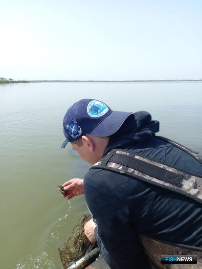 Ростовских раков навестили ученые