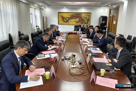 ВНИРО держит курс на сотрудничество с Китаем ВНИРО держит курс на сотрудничество с Китаем