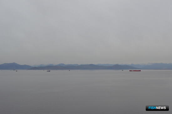 В Петропавловске-Камчатском продолжится реконструкция рыбного терминала