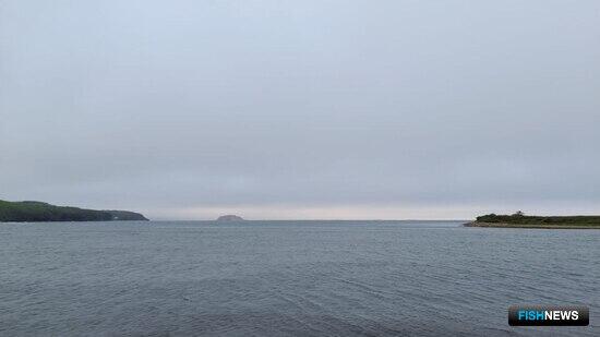 По вопросам рыбной отрасли вышел новый закон