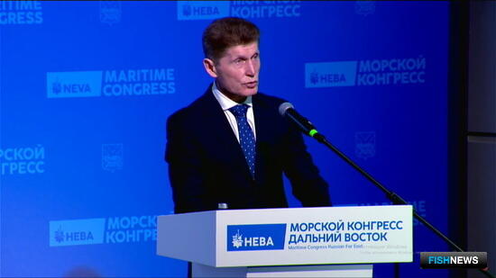 Губернатор Приморья предложил увязать географию промысла и судоремонта Губернатор Приморья предложил увязать географию промысла и судоремонта