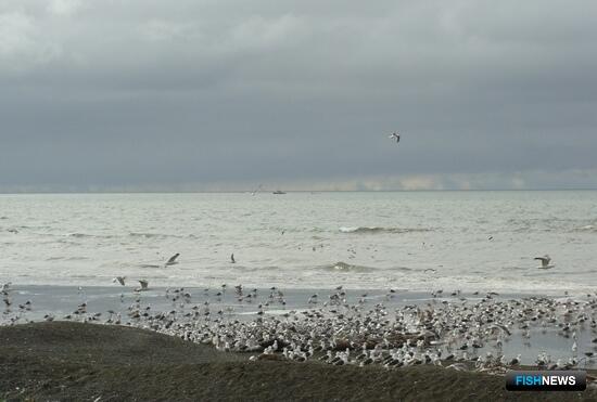 Участки для КМНС будут распределять по новым правилам Участки для КМНС будут распределять по новым правилам