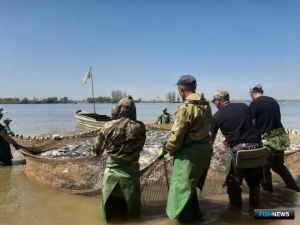 Астраханские рыбаки подвели итоги весеннего сезона
