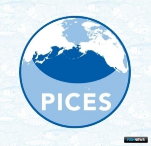 Для ПИКЕС готовят новую научную программу Для ПИКЕС готовят новую научную программу