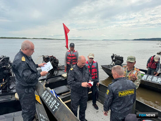 Россия и Китай вместе следят за сохранностью рыбных запасов на Амуре