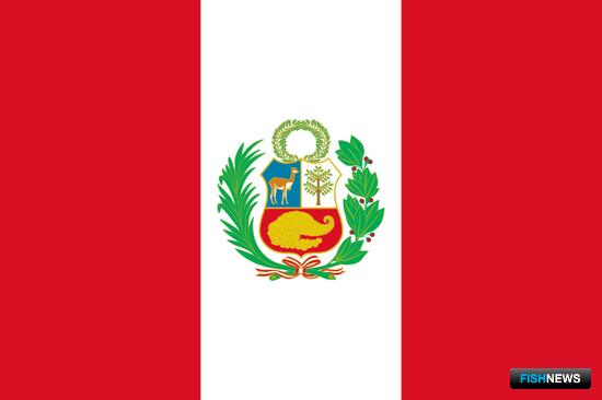 Перу хочет наловить полмиллиона тонн гигантского кальмара Перу хочет наловить полмиллиона тонн гигантского кальмара