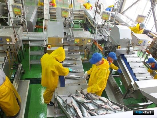 &laquo;Красная&raquo; путина Сахалина принимает студентов