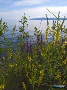 Ученые рассчитали, как нужно регулировать уровень Байкала Ученые рассчитали, как нужно регулировать уровень Байкала