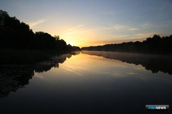 «Курскводоканал» заплатил за массовые заморы «Курскводоканал» заплатил за массовые заморы