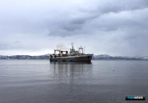 Росрыболовству обновят регламент по распределению квот Росрыболовству обновят регламент по распределению квот