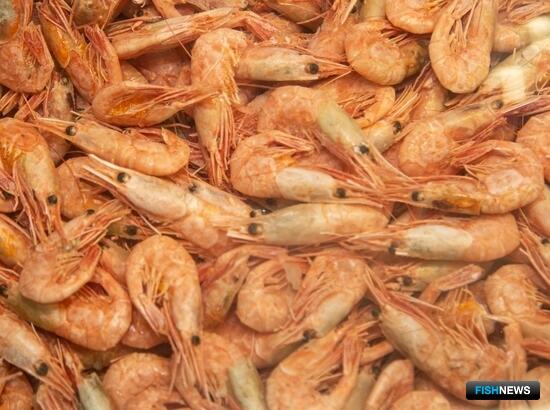 Норвегия и ЕС договорились по креветке Норвегия и ЕС договорились по креветке