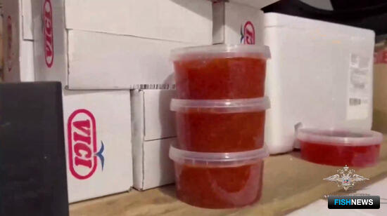 В Москве накрыли нелегальный рыбный рынок В Москве накрыли нелегальный рыбный рынок