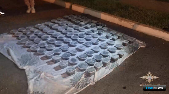 В машине хабаровчанки нашли полцентнера черной икры В машине хабаровчанки нашли полцентнера черной икры