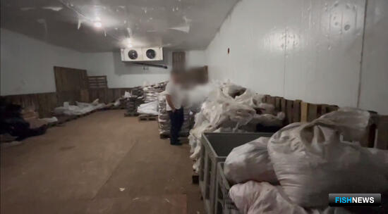 Бизнес на опасных деликатесах закрыли в Нижнем Поволжье Бизнес на опасных деликатесах закрыли в Нижнем Поволжье