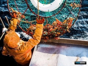 «Развитие глубоководного промысла стало правильным курсом»: добытчики из Приморья поделились планами «Развитие глубоководного промысла стало правильным курсом»: добытчики из Приморья поделились планами