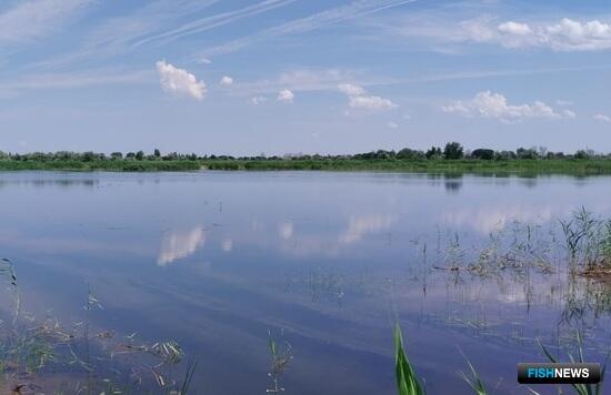 Приволжье планирует продолжить оздоровление своих акваторий Приволжье планирует продолжить оздоровление своих акваторий