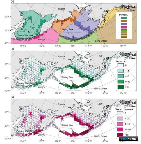 Богатые пятнистым скатом воды определил математический анализ Богатые пятнистым скатом воды определил математический анализ
