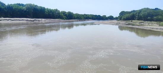 Нерестилища Дагестана получили приток воды