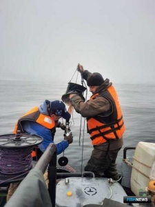 Ученые исследуют &laquo;красные приливы&raquo; в Олюторском заливе