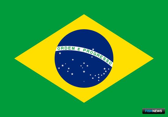 Список рыбных экспортеров в Бразилию пополнился Список рыбных экспортеров в Бразилию пополнился