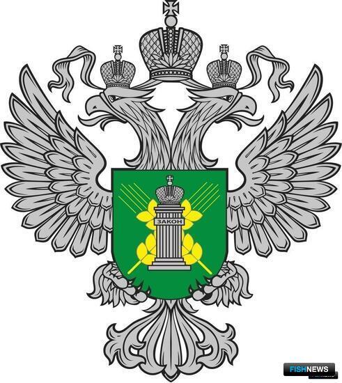 Очередная партия сомнительной рыбы «приплыла» из Белоруссии Очередная партия сомнительной рыбы «приплыла» из Белоруссии