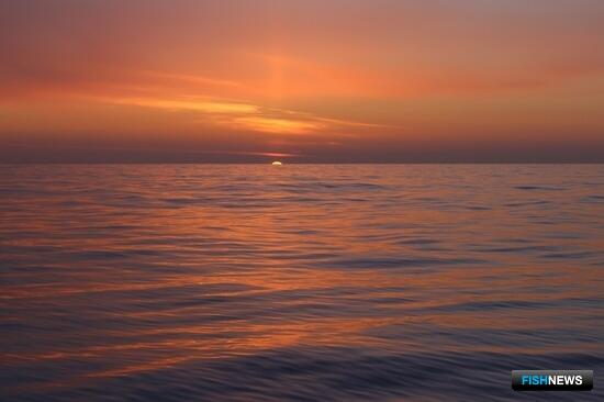 Для рыболовства в зонах действия международных договоров готовят дополнительный механизм Для рыболовства в зонах действия международных договоров готовят дополнительный механизм