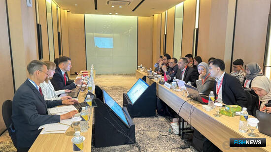 ЕАЭС собирается расширить возможности для торговли с Индонезией ЕАЭС собирается расширить возможности для торговли с Индонезией