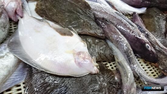 К сахалинской &laquo;Доступной рыбе&raquo; подключили современные технологии