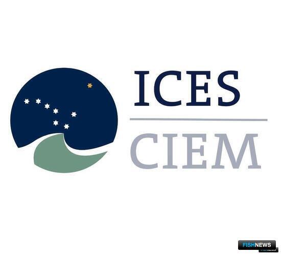 Россия готовится покинуть ICES Россия готовится покинуть ICES