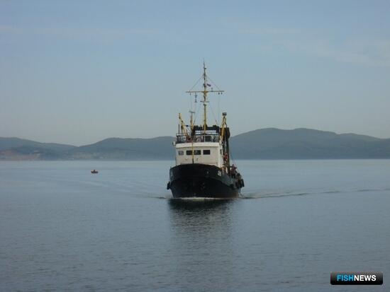 Приморье показало прибавку по уловам Приморье показало прибавку по уловам