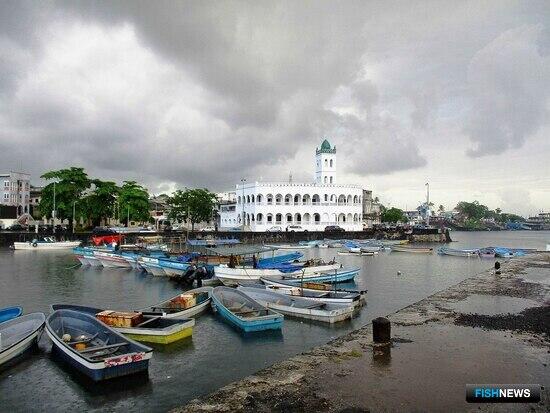 Рыболовство на Коморских островах простимулируют через развитие портов Рыболовство на Коморских островах простимулируют через развитие портов