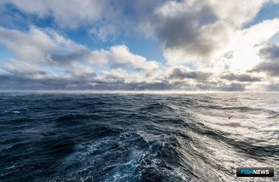 Курировать национальную морскую политику будут коллегия и управление президента Курировать национальную морскую политику будут коллегия и управление президента