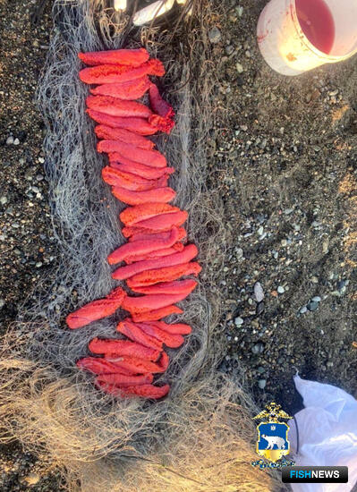 На Чукотке рассказали о первых результатах операции &laquo;Путина&raquo;