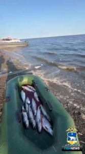 На Чукотке рассказали о первых результатах операции &laquo;Путина&raquo;