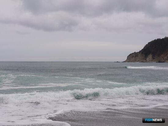 Арбитраж оставил субсидию за рыбаками Арбитраж оставил субсидию за рыбаками