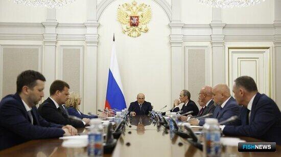 Исследования рыбных запасов поддержат из федерального бюджета Исследования рыбных запасов поддержат из федерального бюджета